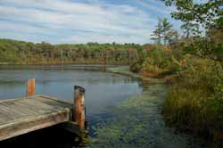 stony brook reservation