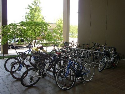 bike-racks-full.JPG