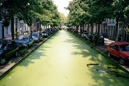 greenstreets.jpg