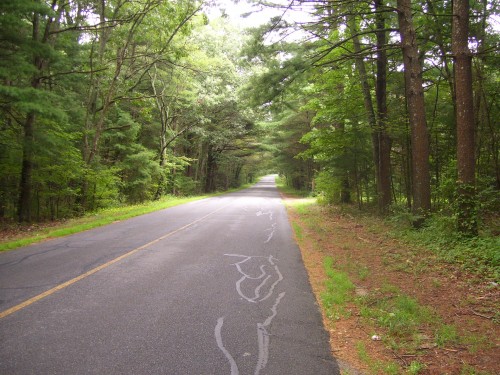 a typically wonderful road south of Boston