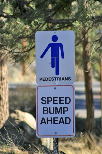 Pedestrian_Speed_bumps