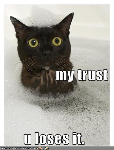 funny-pictures-cat-bubble-bath-trust